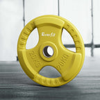 Everfit Weight Plates Olympic 20kg Dumbbell Barbell Plate Weight Lifting Home Gym Yellow