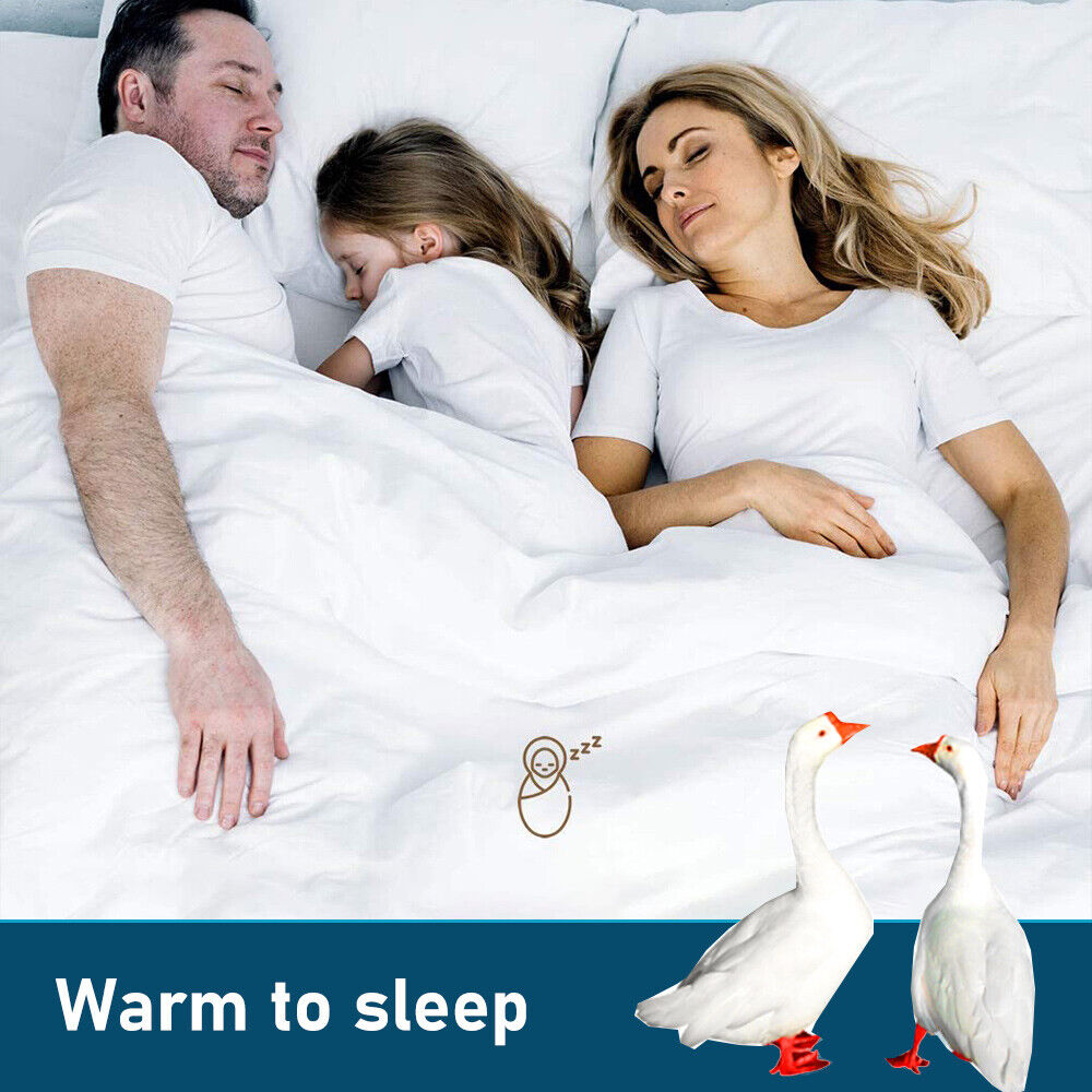 Premium Goose Down 500 GSM Queen Quilt