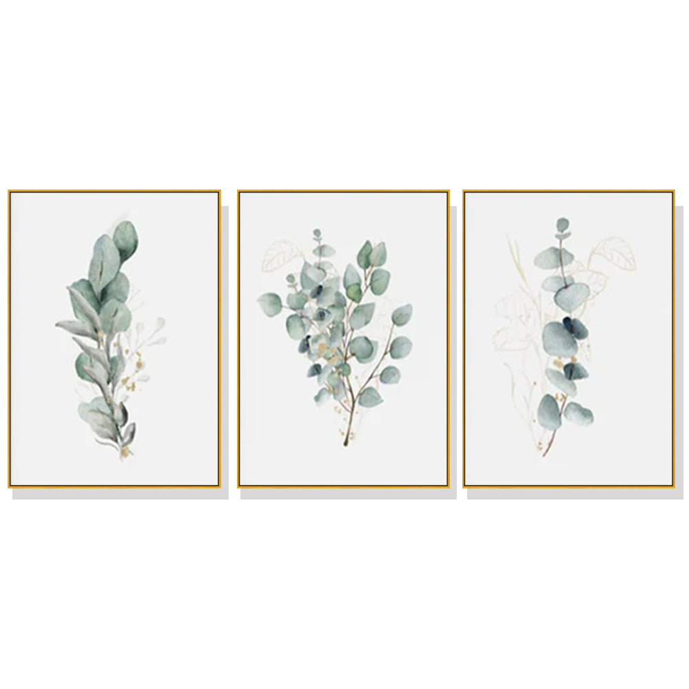 Wall Art Eucalyptus Plant 3 Sets Gold Frame Canvas Home Decorative Gallery Prints