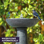 Contemporary Solar Water Feature Bird Bath