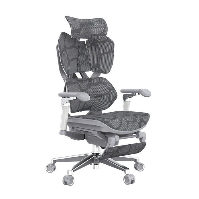 SIHOO X5 Pro Gaming Chair - Grey Frame