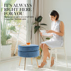 La Bella Velvet Round Ottoman with Gold Legs