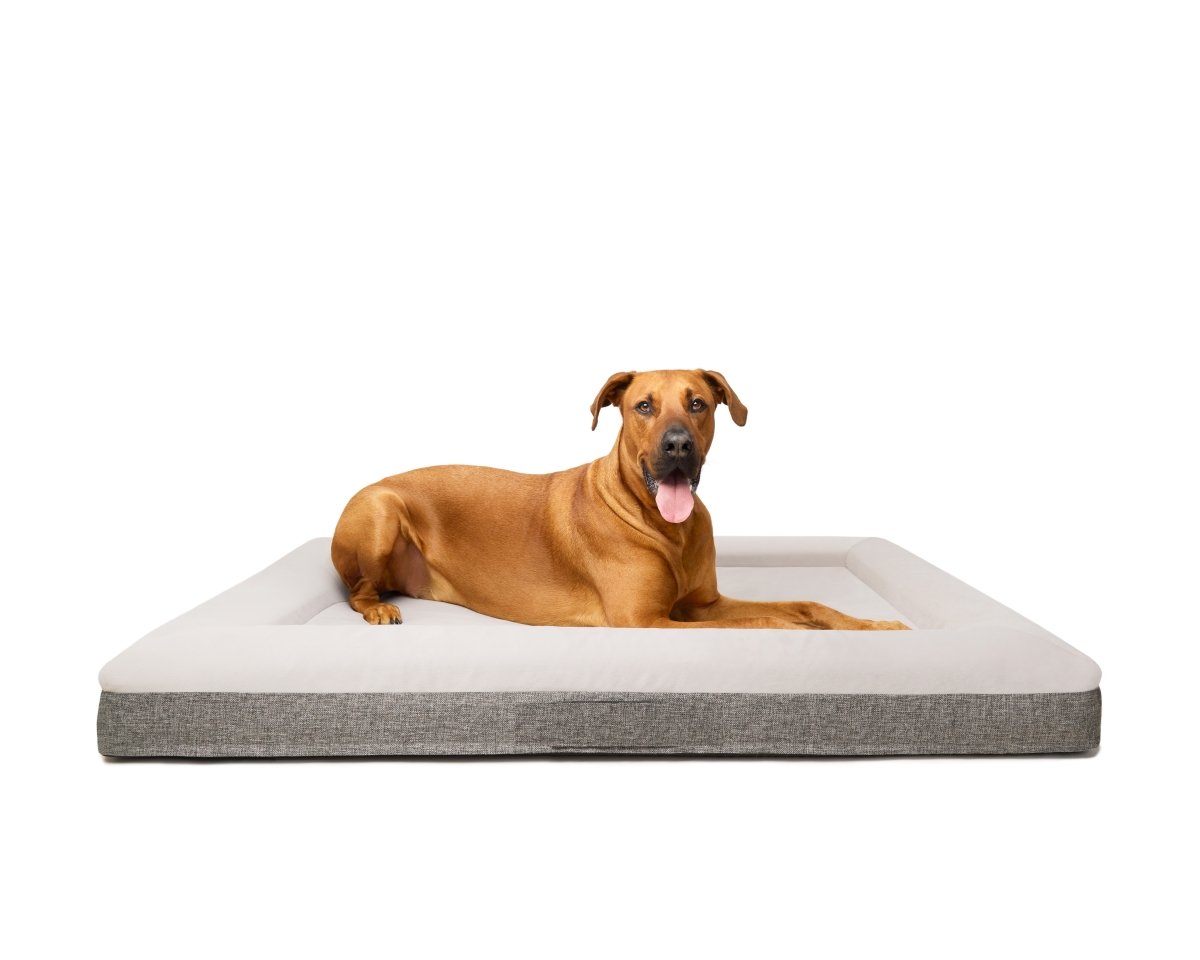 Fur King "Ortho" XL Orthopedic Dog Bed