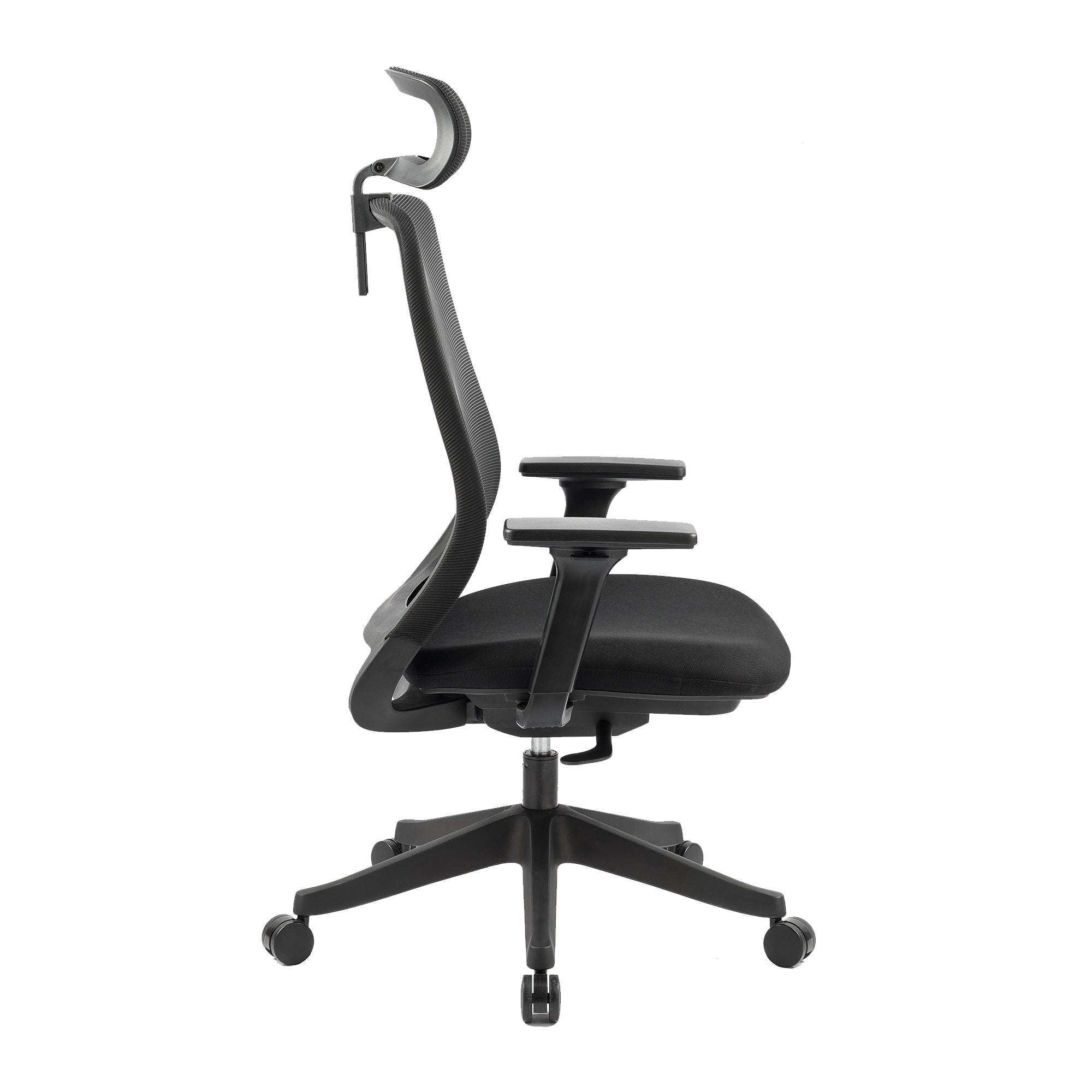 Carlie Ergonomic High Back Office Chair