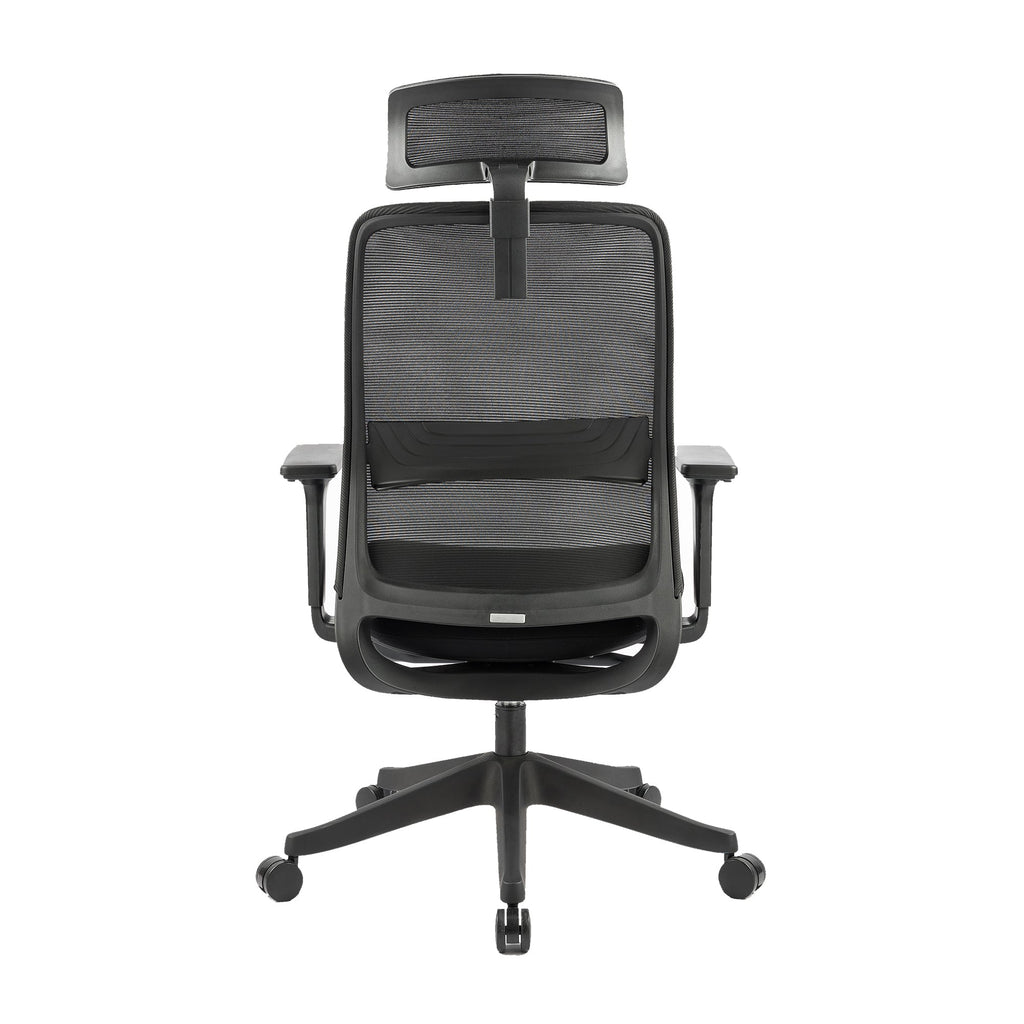 Carlie Ergonomic High Back Office Chair