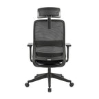 Carlie Ergonomic High Back Office Chair