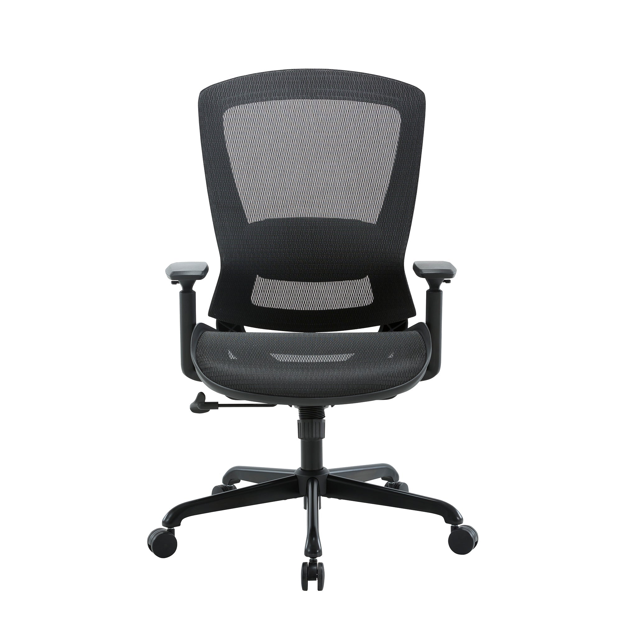 Daisey Ergonomic Mesh Task Chair