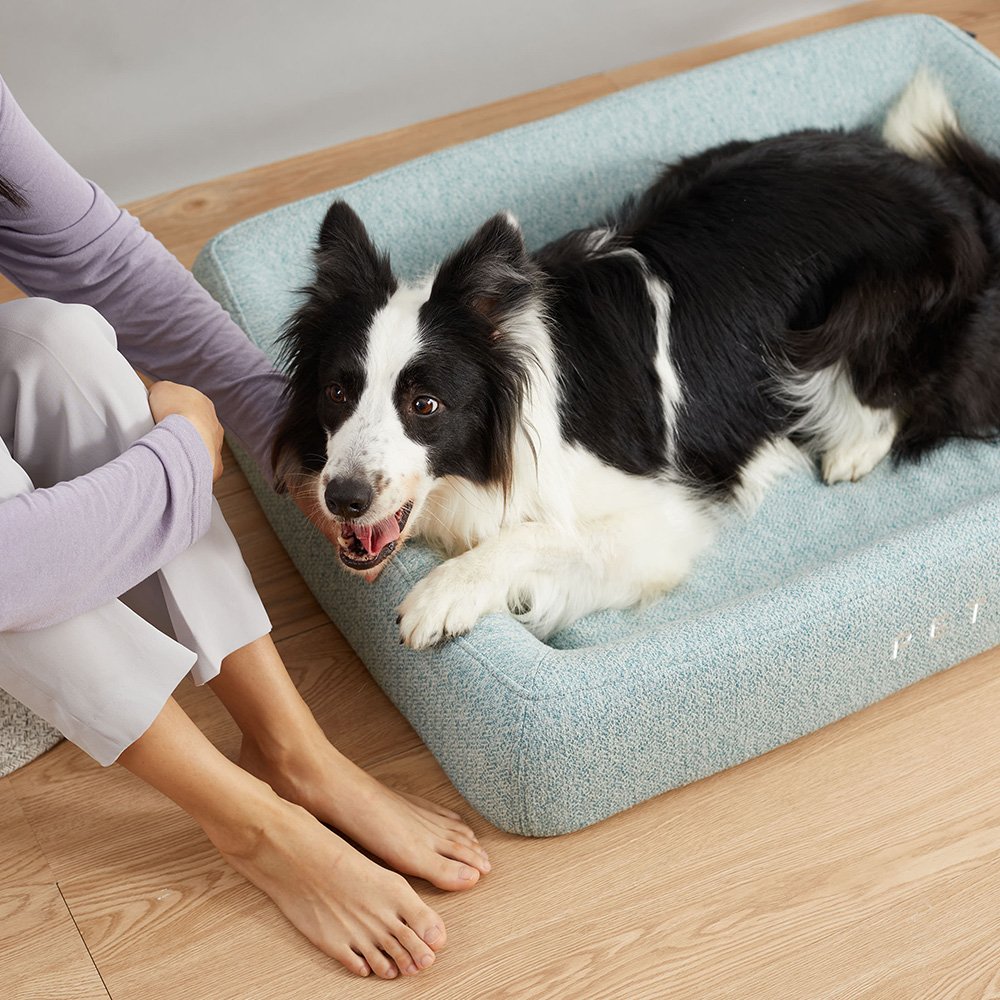 PETKIT Four Season Comfort Sleep Bed
