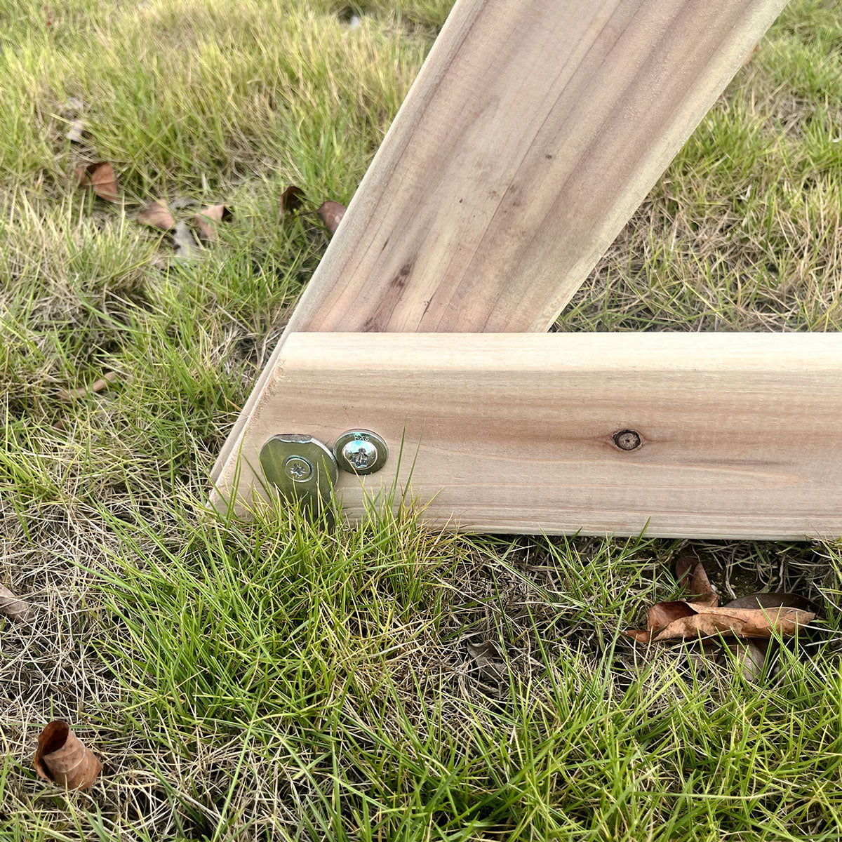 Lifespan Kids Daintree 2-in-1 Swing & Monkey Bar Set