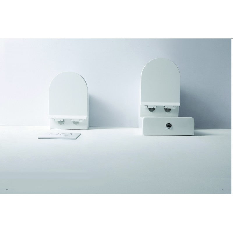 Flay-R Rimless Ceramic Back to Wall Pan