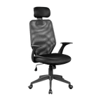 Ergonomic Black Mesh Office Chair with Headrest