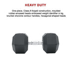 25KG Commercial Rubber Hex Dumbbell Gym Weight