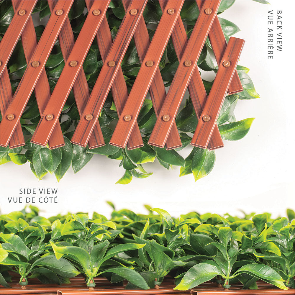 Jasmine Artificial Hedge Extendable Trellis / Screen 2 Meter By 1 Meter UV Resistant (PVC)