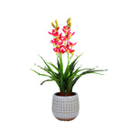 100cm Faux Artificial Home Decor Potted Cymbidium-Red/White - White